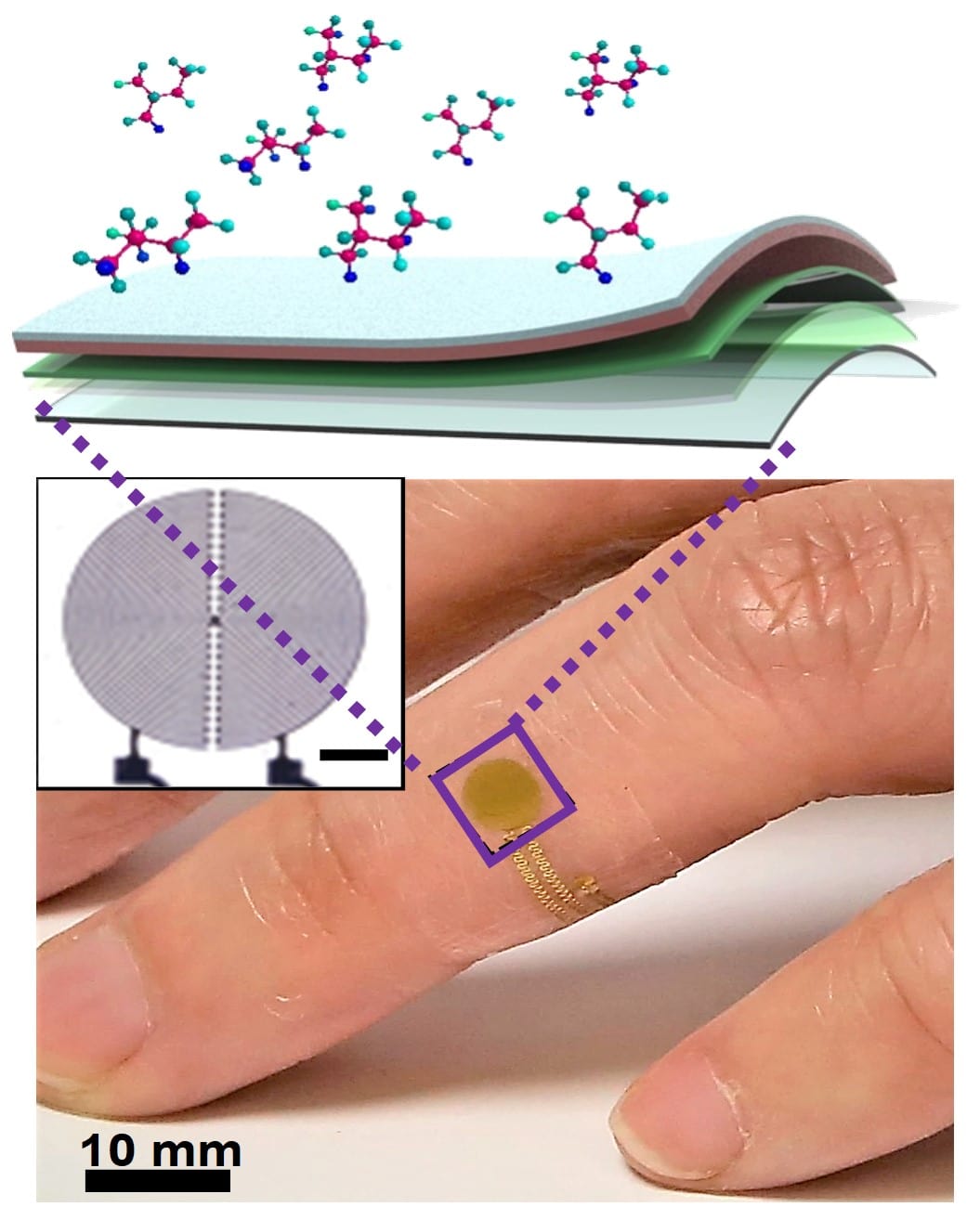 Flexible Electronics Image Jpeg White Background V1